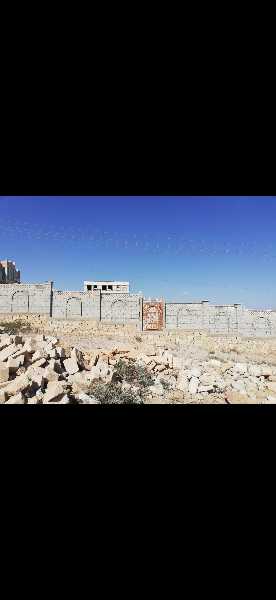 المنصورة الجديدة