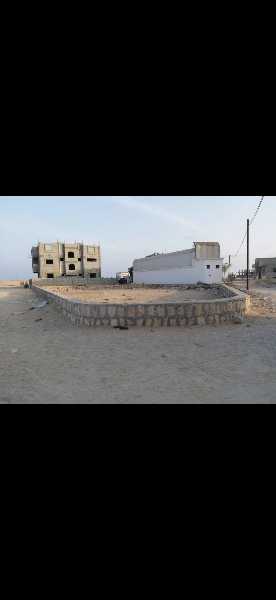 فوه الجديدة