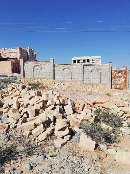 المنصورة الجديدة