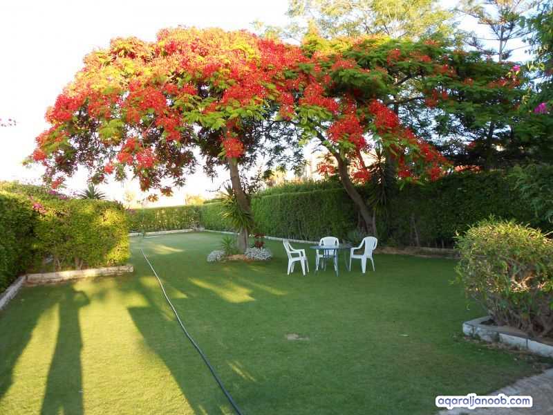 مارينا العلمين مصر