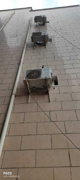 عدت عروض داخل عدن