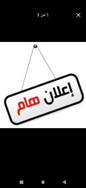 طلبات وعروض بعدن