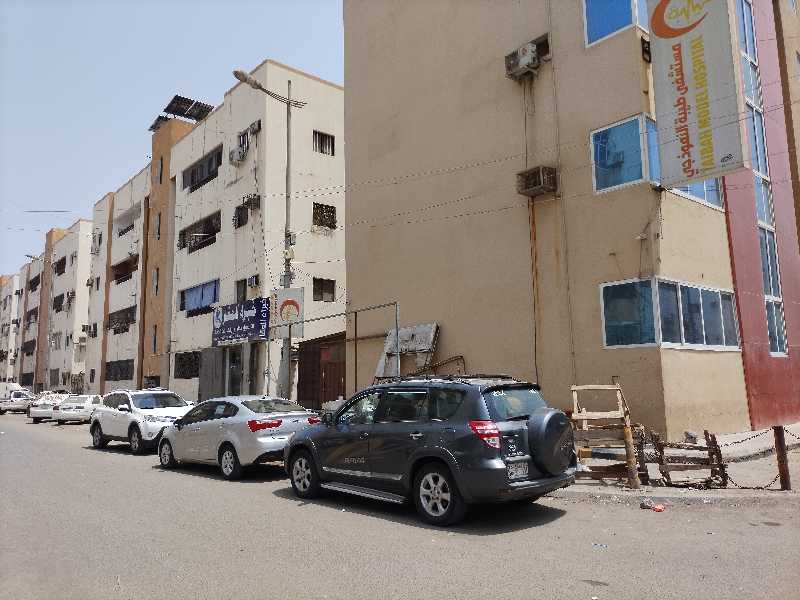مطلوب فله شراءبذرة عدن