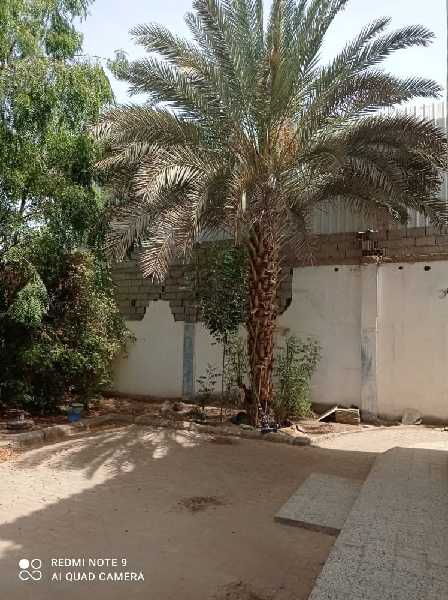 فله للبيع مدينه الخضراء
